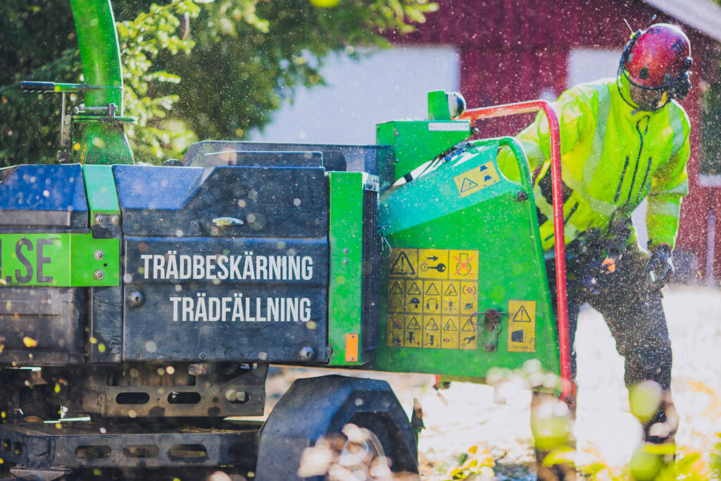 Trädakuten – Trädfällning, Trädvård, Trädbeskärning.