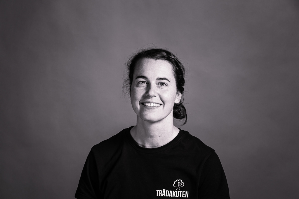 Trädakuten – Trädfällning, Trädvård, Trädbeskärning.
