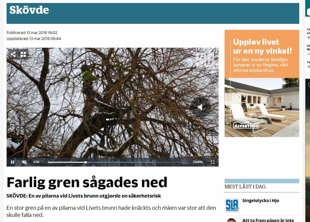 Trädakuten – Trädfällning, Trädvård, Trädbeskärning.