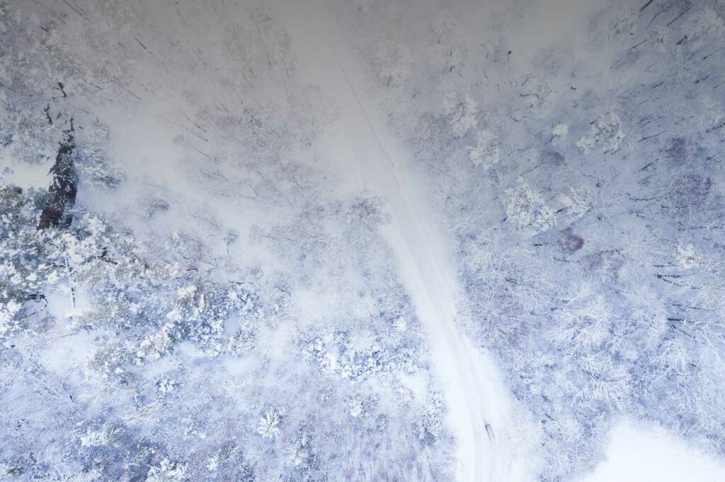 Trädakuten – Trädfällning, Trädvård, Trädbeskärning.