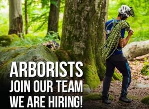 Arborists, Join our team, we are hiring!