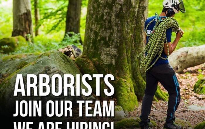 Arborists, Join our team, we are hiring!