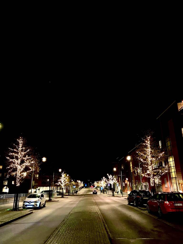 Trädakuten – Trädfällning, Trädvård, Trädbeskärning.