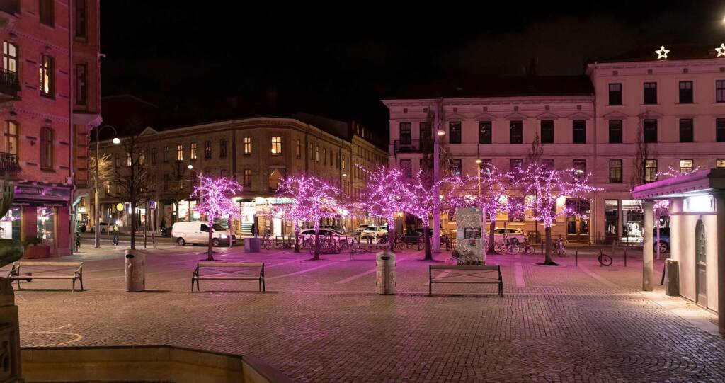 Trädakuten – Trädfällning, Trädvård, Trädbeskärning.