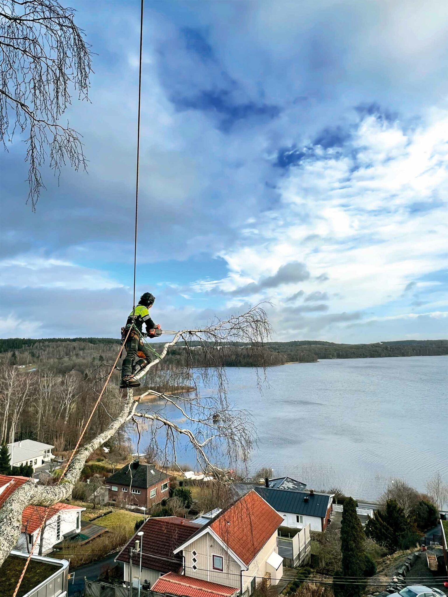 trädfällning bohuslän