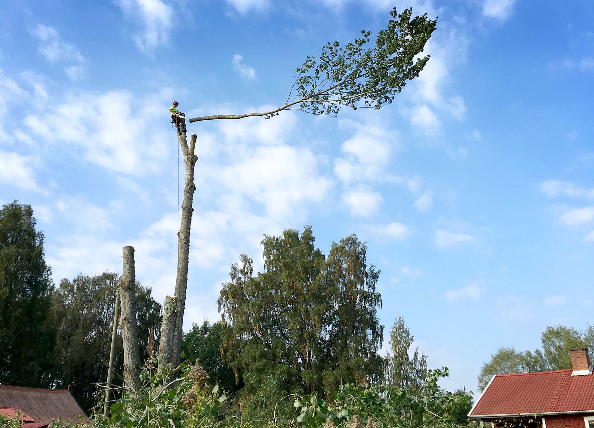 Trädfällning & Beskärning i Göteborg, Dalarna, Halland, Skaraborg