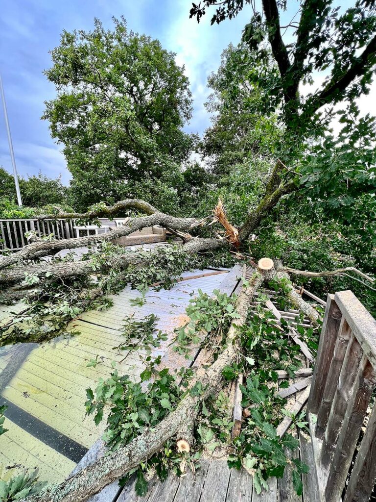 Stormfällt träd på altan